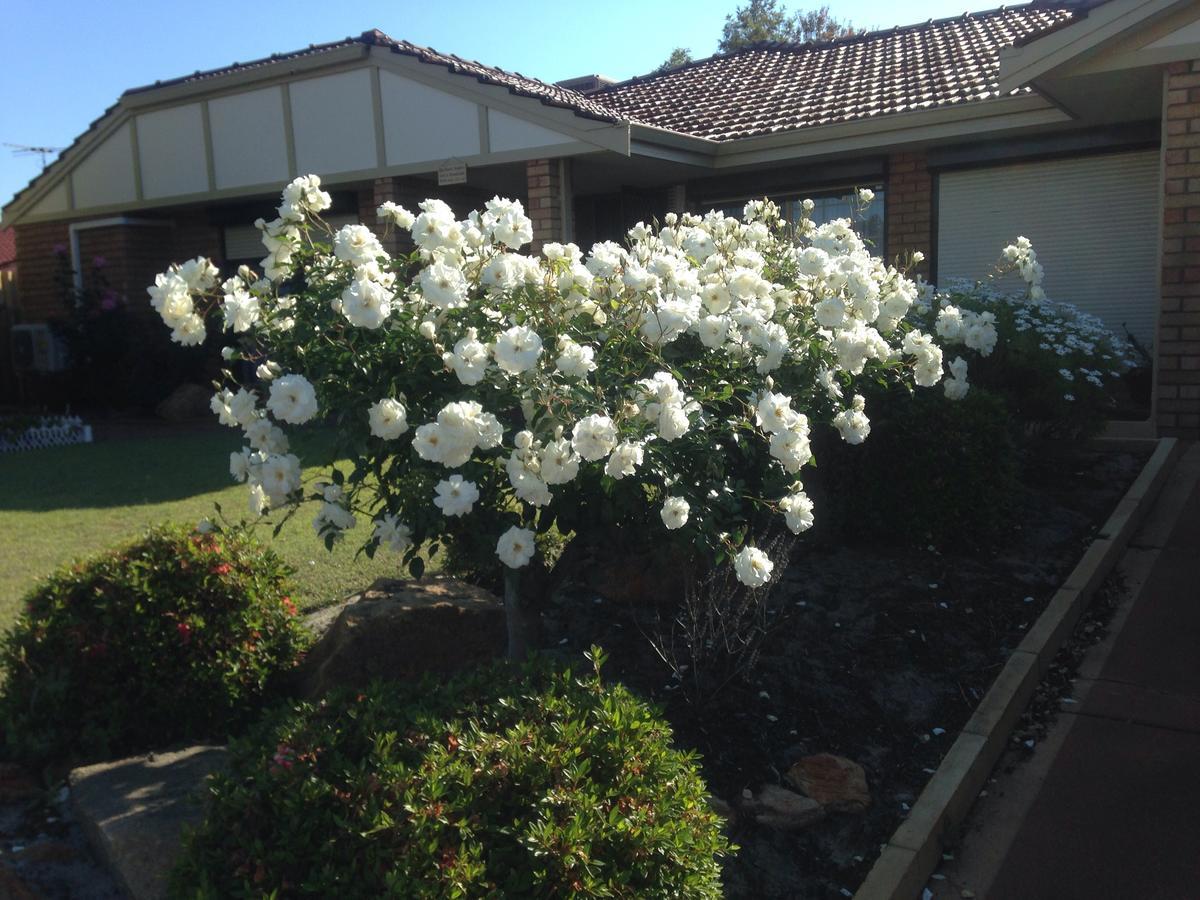 Murdoch Station Bed & Breakfast Perth Esterno foto